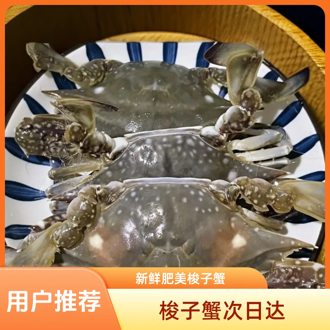 【保鲜不保活】海捕梭子蟹每斤 3-4只 左右 鲜活冰鲜发货 海捕掉腿正常单只2-4两   顺丰京东冷链规格发货 3斤