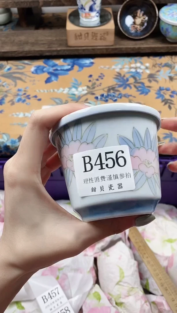 瓷片?*️                B456