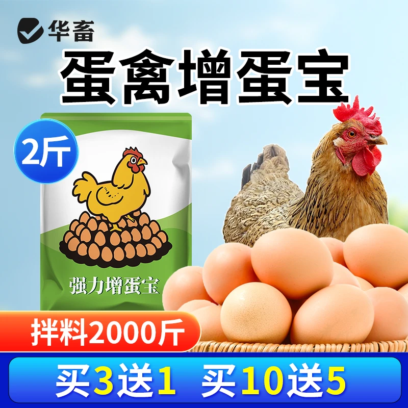 【2斤装】强力增蛋宝蛋多多沙皮蛋鸡鸭鹅产蛋宝芦丁鸡鸽子催蛋Ss商品图