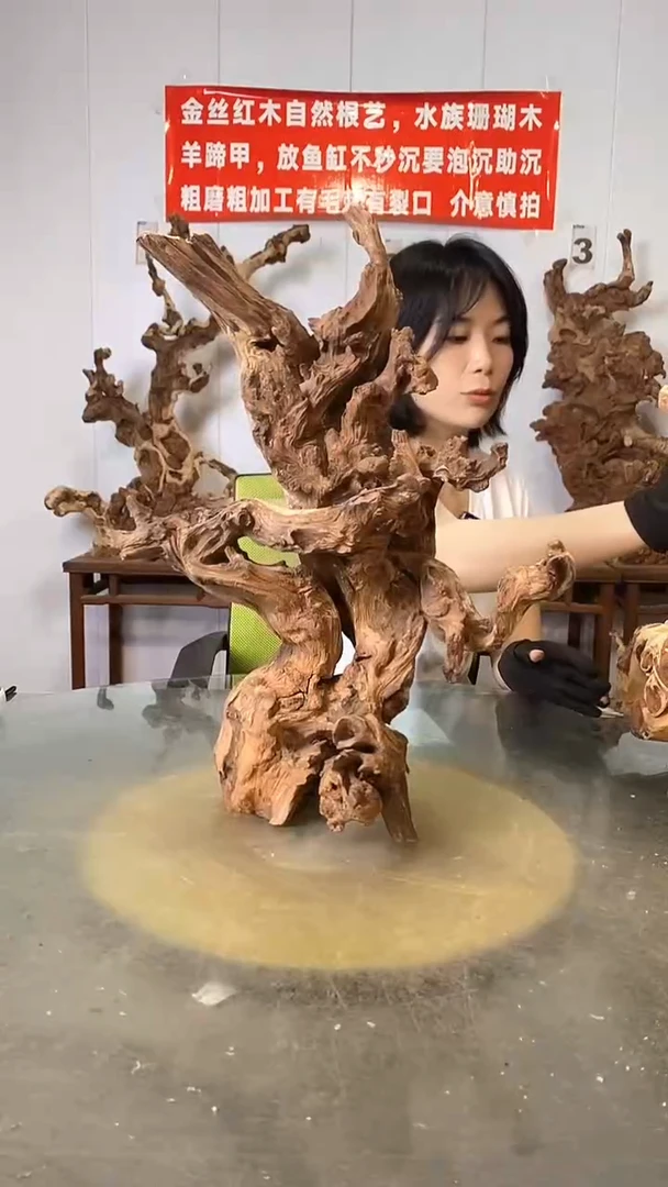 香榧木联*想金丝红木   羊蹄甲