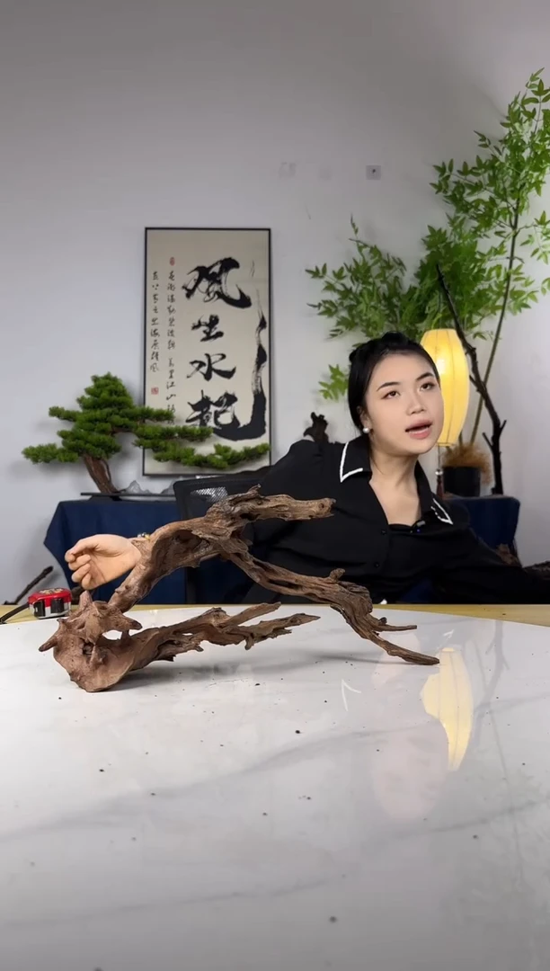 小*王拍这个定向编号37