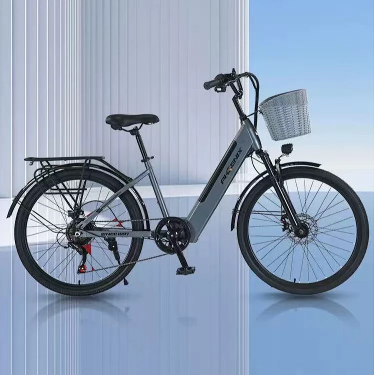 Phoenix/凤凰-FD2锂电池助力长短途骑行超长续航电动车