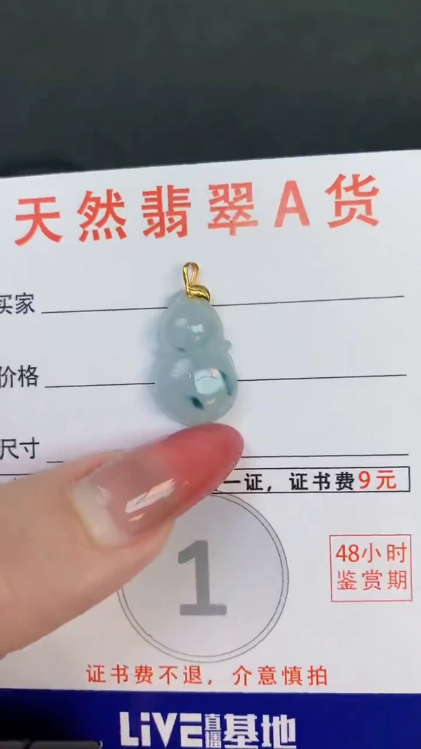 颈饰未镶嵌翡翠天然A货翡翠挂件