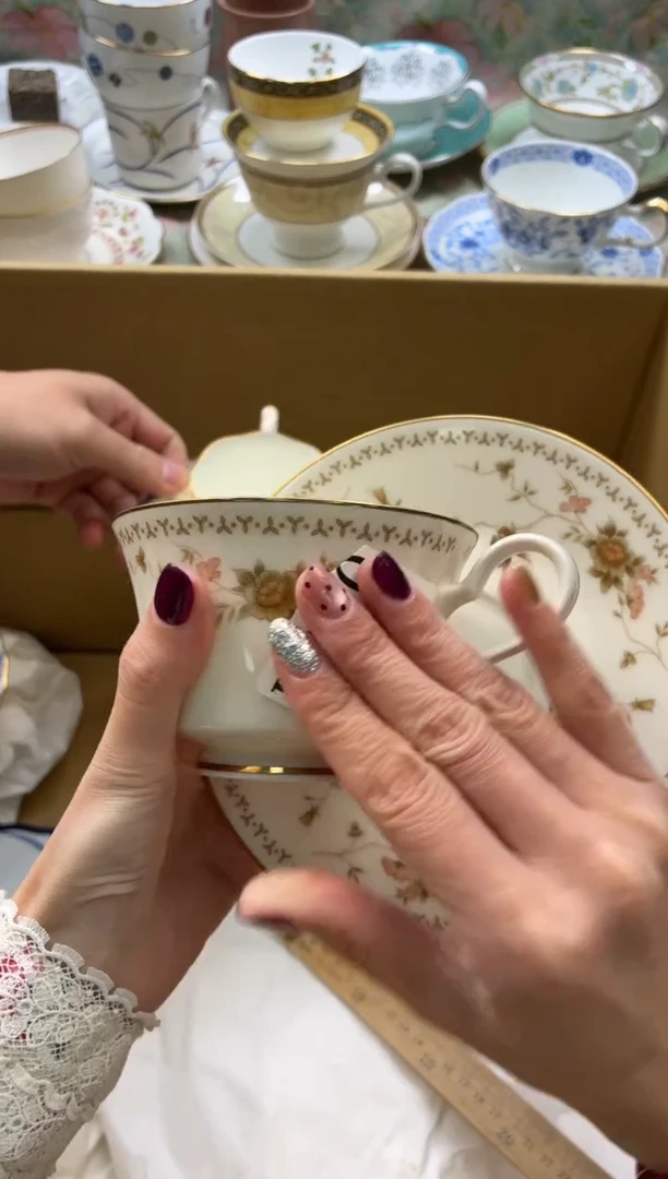 瓷片羽?       F860