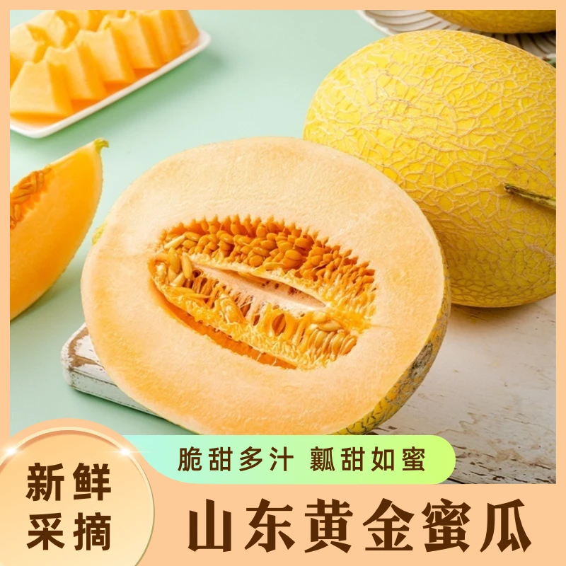 【AC自营】【顺丰】山东黄金蜜瓜单果3-4斤/个当季水果新鲜脆甜多汁