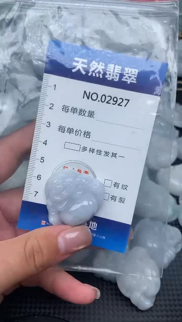 颈饰未镶嵌翡翠纯天然A货翡翠2927