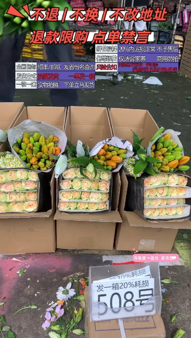 508号♥含20%耗损发一箱