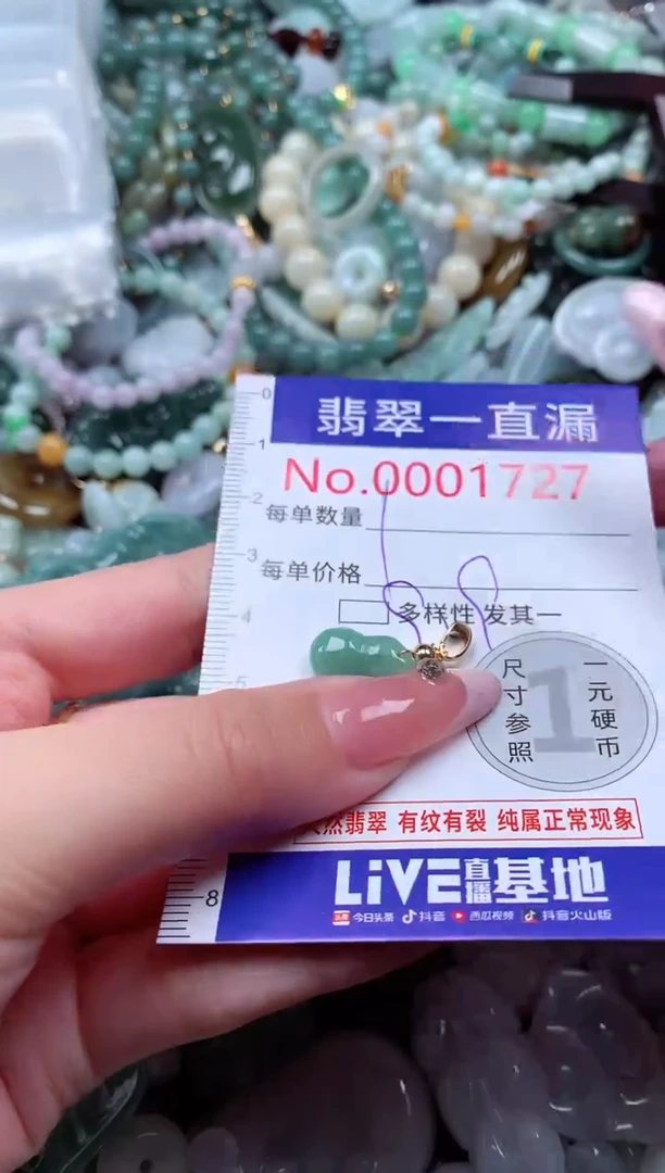 翡翠未镶嵌吊坠(不含链)1727