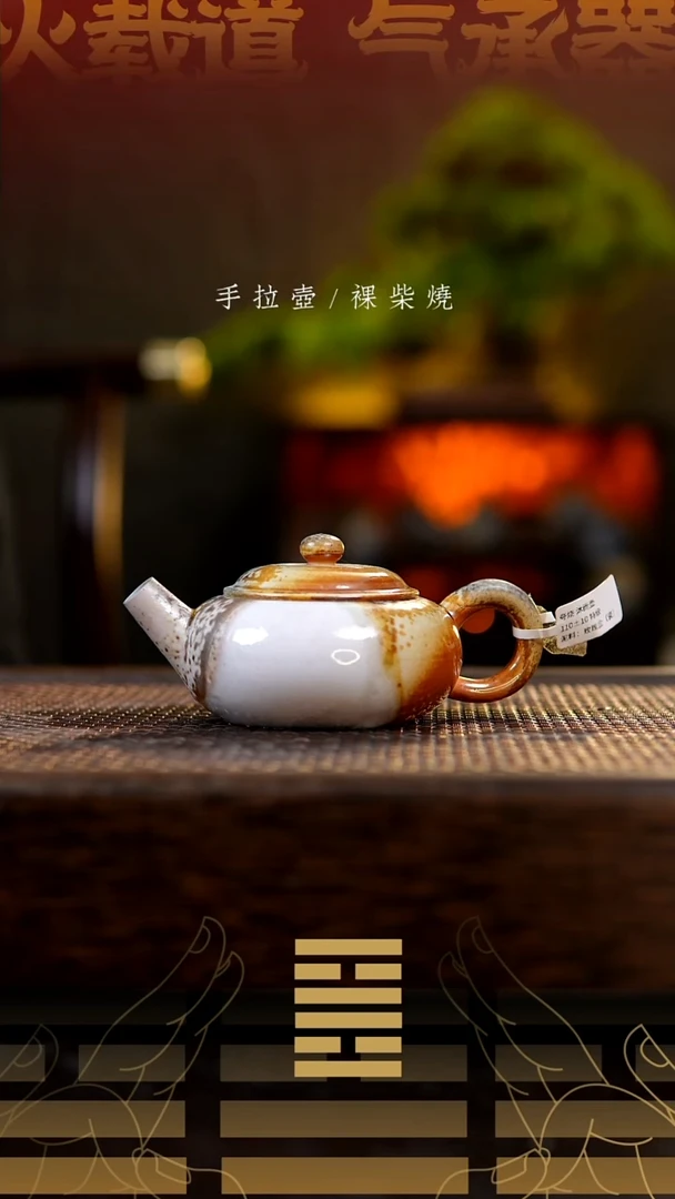 夸烧柴烧沐雨壶844