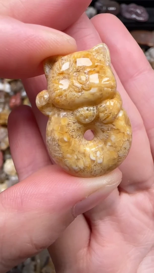 颈饰未镶嵌硅化珊瑚（珊瑚玉）842