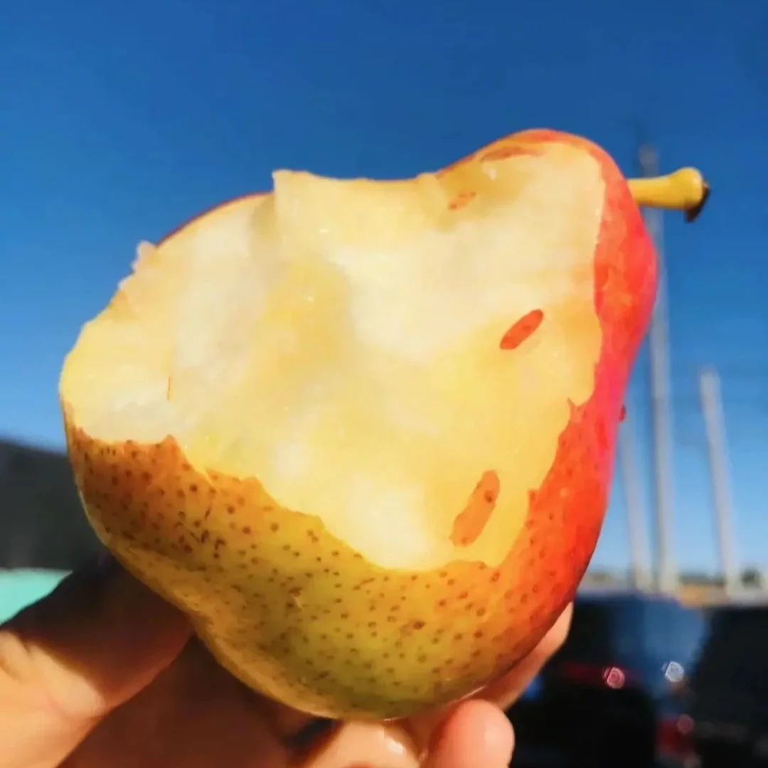 【姜婆甄选】南非福尔乐彩啤梨 软糯 水嫩香甜多汁 果核特别小