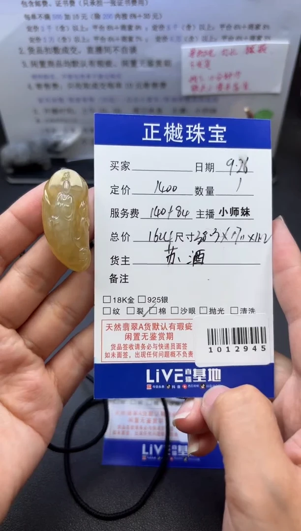 吊坠(赠链)未镶嵌翡翠ZYZB-1012945