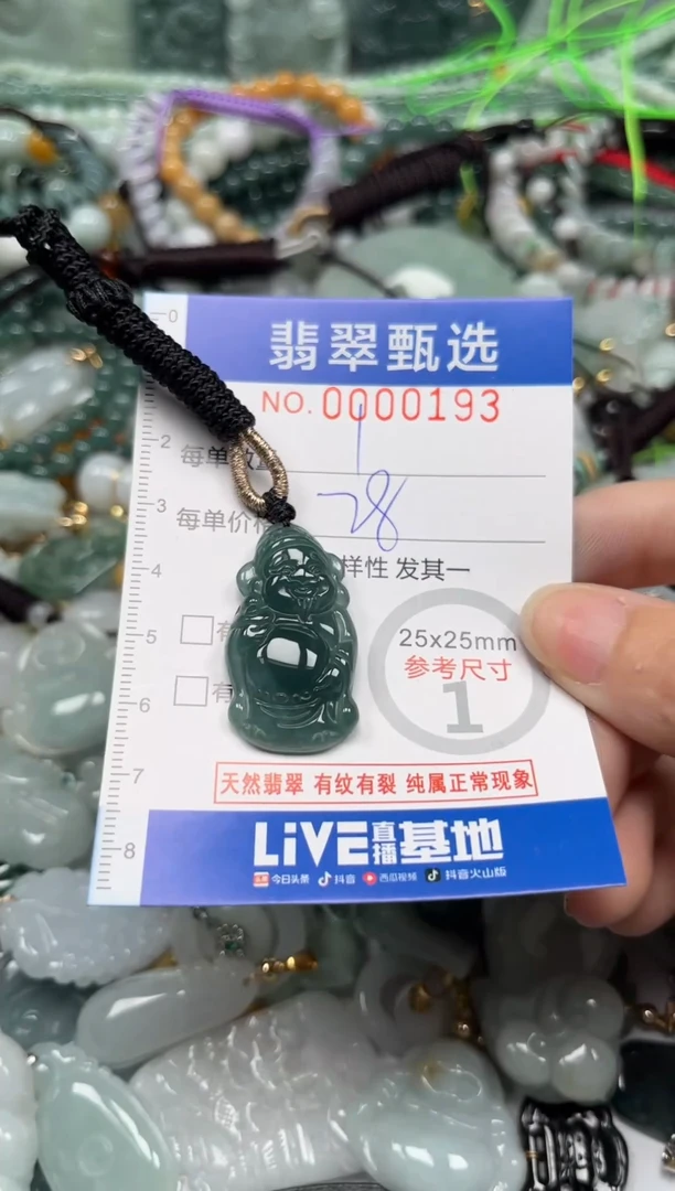 【闪购商品】翡翠颈饰未镶嵌00..0193