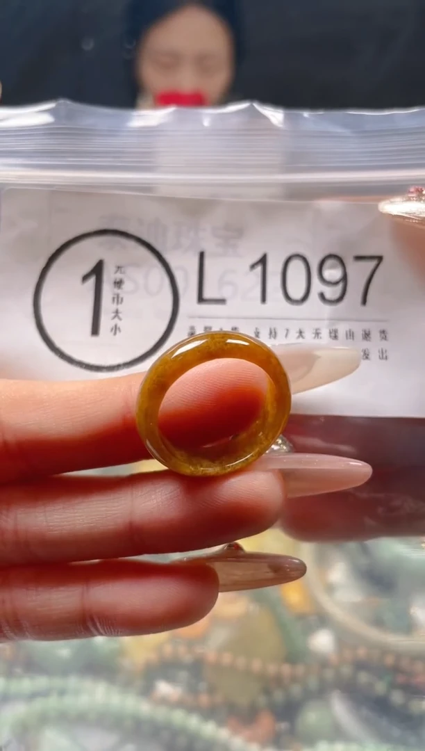 【闪购商品】翡翠颈饰未镶嵌18.2/L/翡翠A货一图一物