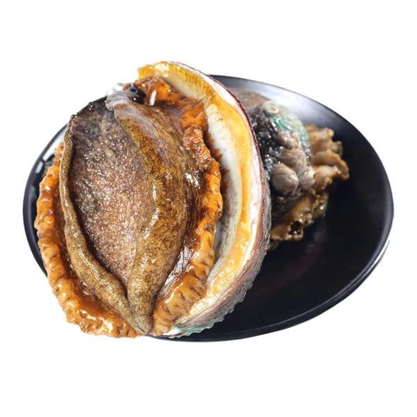 鲜活手掌大鲍鱼2只 单只:150-200g