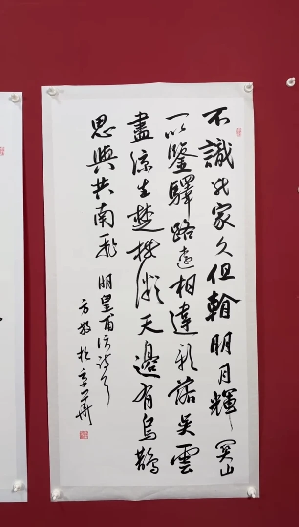 书法共南飞书法11