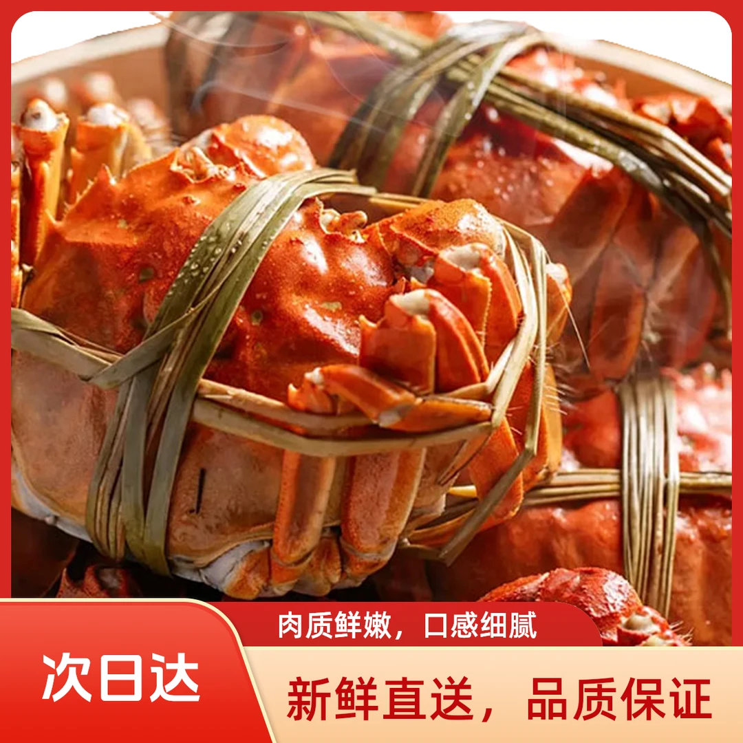 C【活蟹现发】大闸蟹公蟹5.1-4.8两母蟹4.1-3.8两（6只/8只）+2只苏州鲜活精品螃蟹海鲜京东冷链包邮次日达
