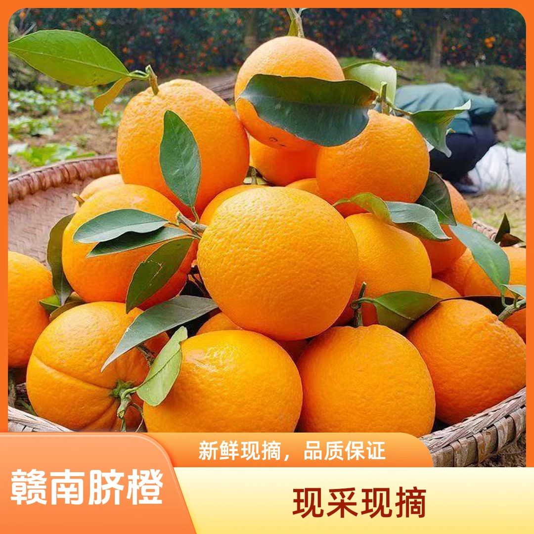 正宗江西赣南脐橙寻乌甜脐橙现摘应季水果新鲜橙子产地直发