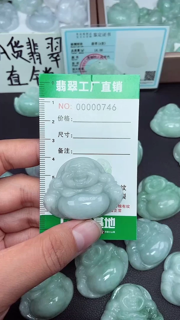 颈饰未镶嵌翡翠缅甸天然翡翠0746