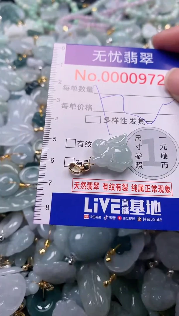 吊坠(不含链)未镶嵌翡翠972