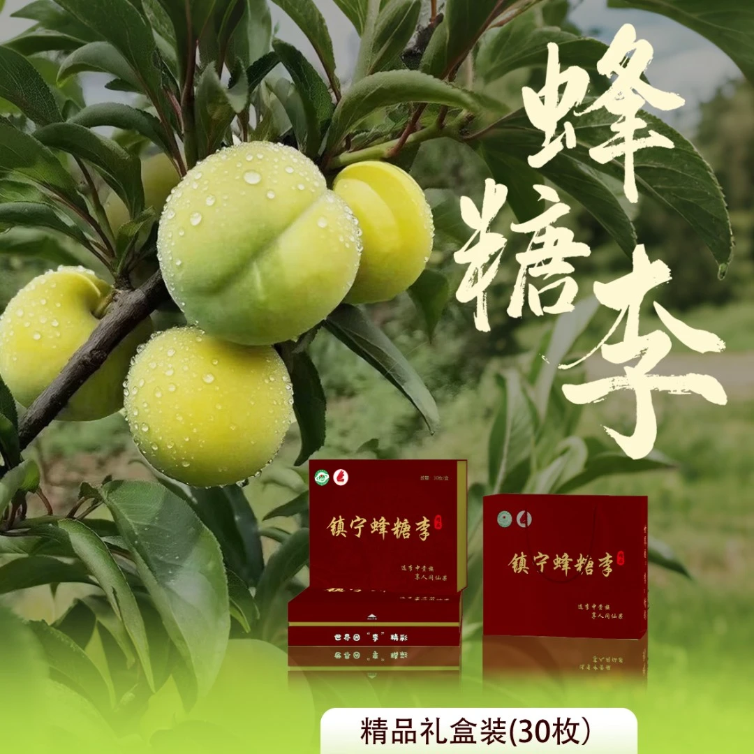 精品礼盒-贵州镇宁正宗蜂糖李新鲜现摘现发顺丰包邮（溯源防伪）