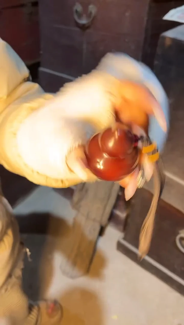 【闪购商品】蜜蜡颈饰未镶嵌雅琪精品专属链接21