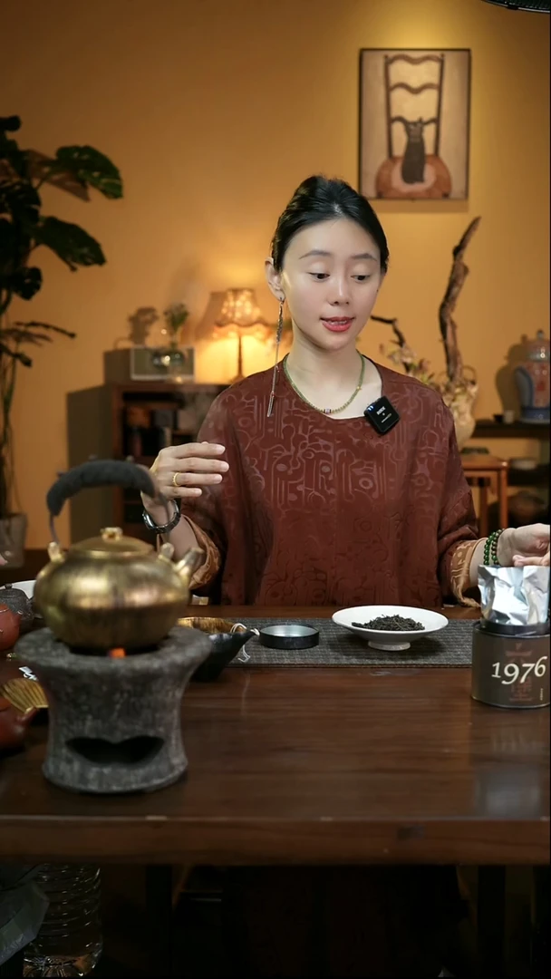 憨憨甄选-红云纱连衣裙-壶-茶器-茶具
