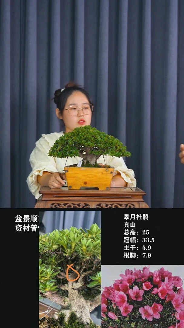 无花朵感*真山-STO396