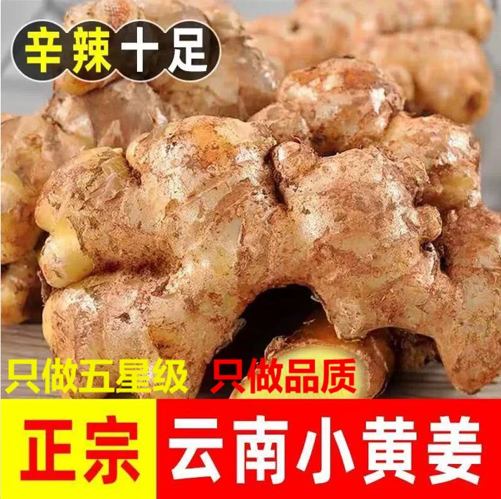 【经平台保真】云南正宗够辛够辣老五星级专用小黄姜足斤足两不踩坑