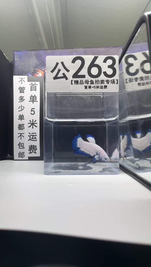斗鱼公鱼编号：263