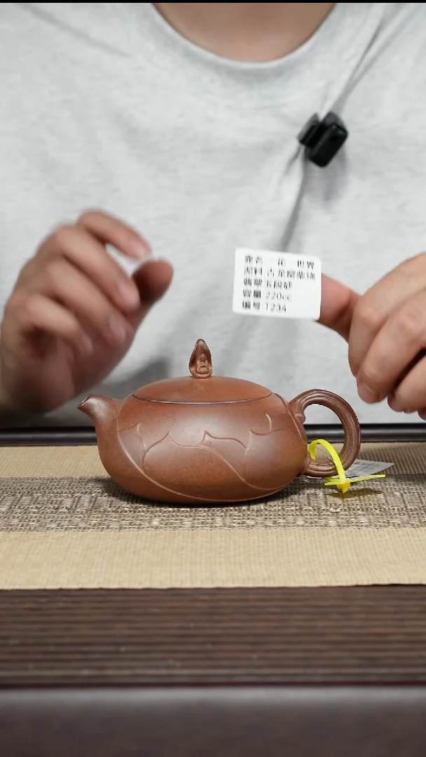 茶壶紫砂T234 古龙窑柴烧 一花一世界 220cc