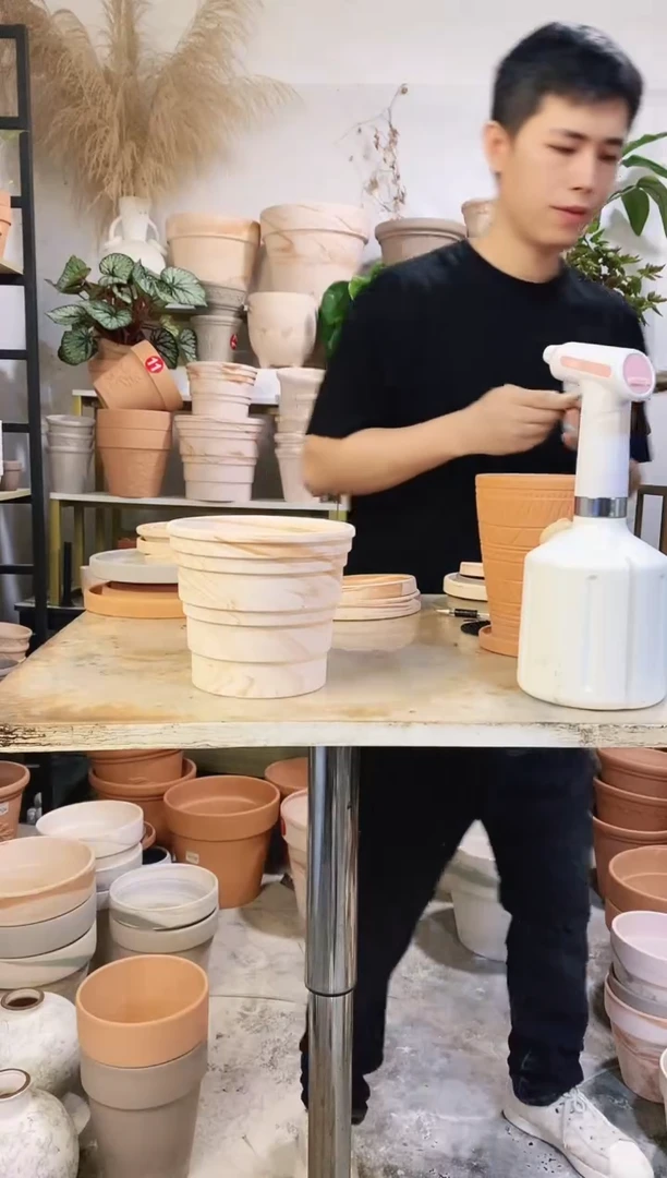 16*14玛奇朵竹节 1盆无托