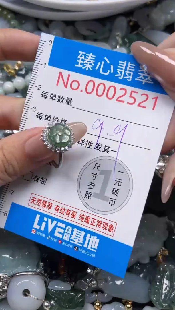 颈饰未镶嵌翡翠2521