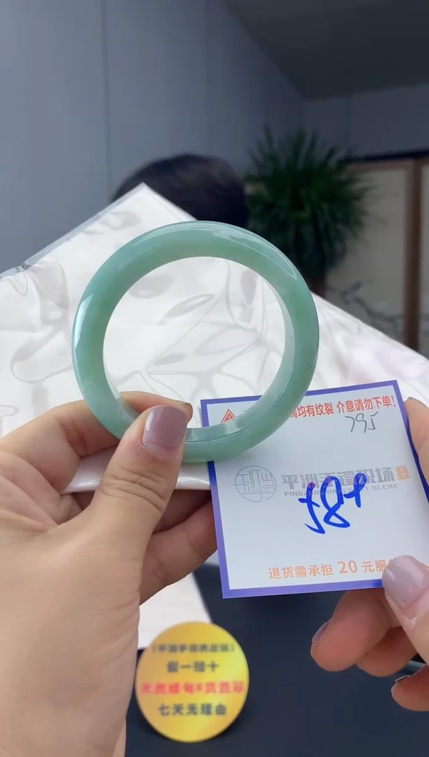 未镶嵌手镯翡翠1111111