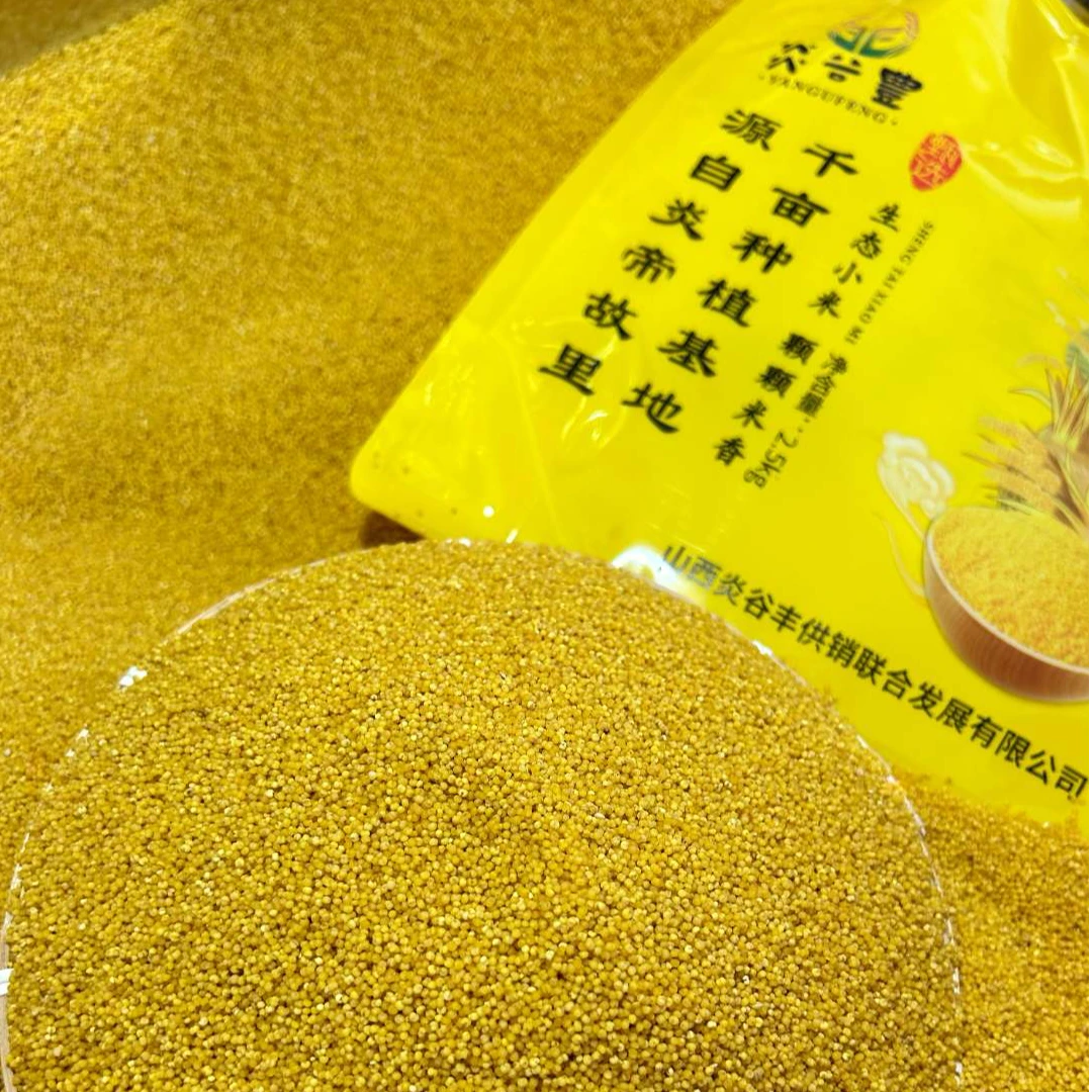 炎谷丰黄小米，源自炎帝故里。2.5KG装山西特产。
