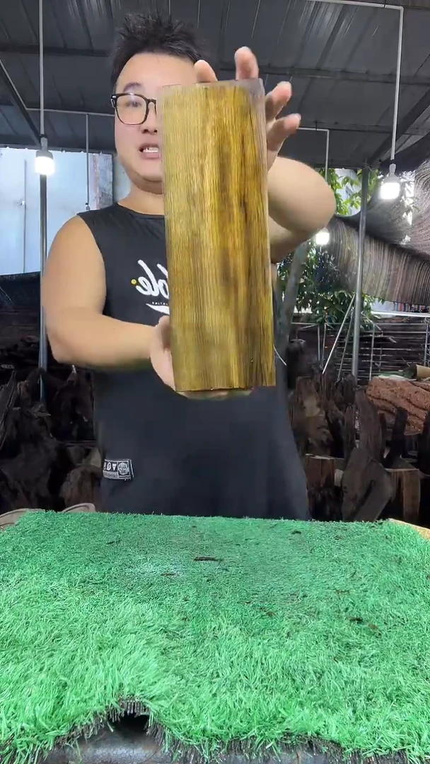 金丝楠小叶桢楠182