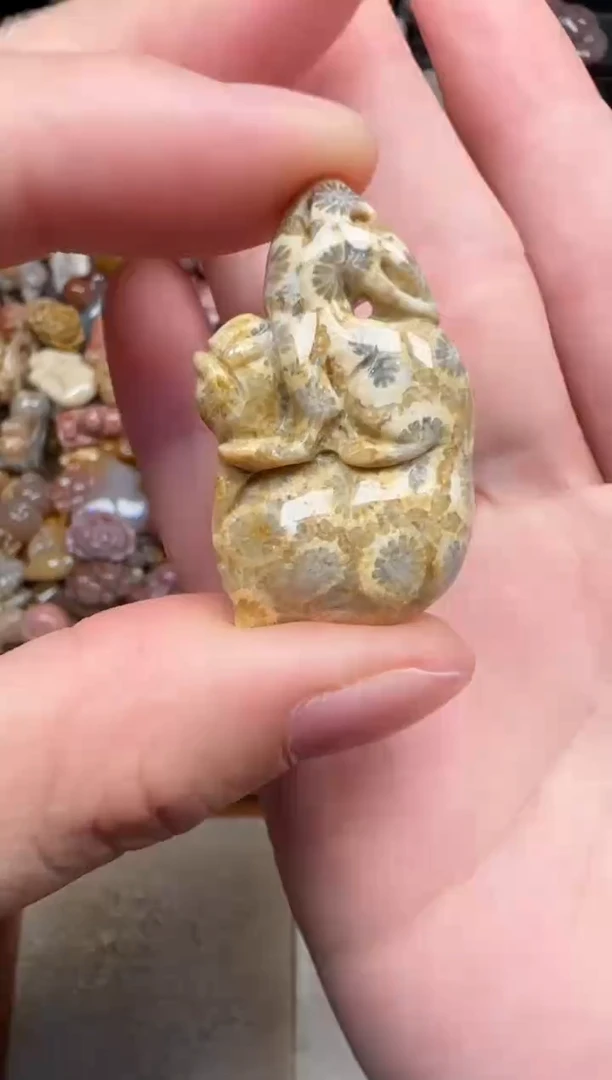 颈饰未镶嵌硅化珊瑚（珊瑚玉）043