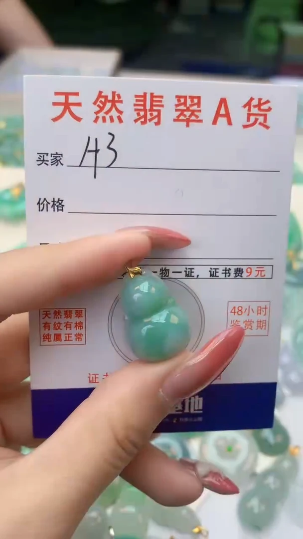 颈饰未镶嵌翡翠天然A货翡翠挂件
