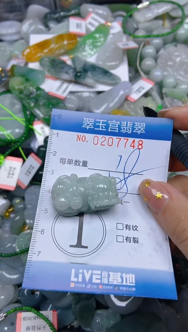 颈饰未镶嵌翡翠闪购C0207748