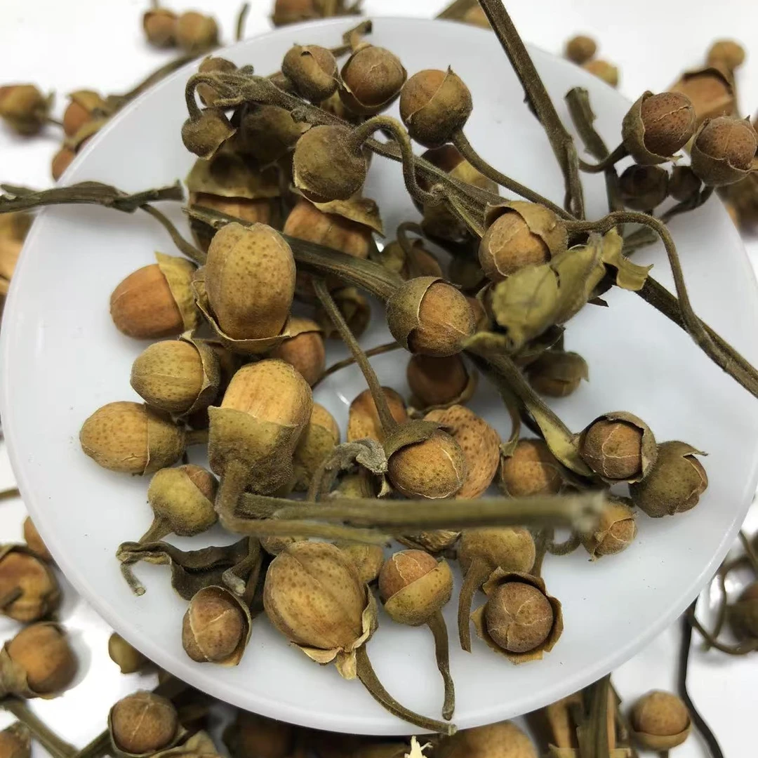 品茗芬831号链接化州橘红花LLNY