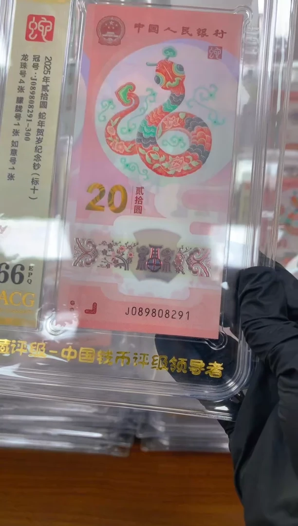 塑料2025蛇钞 真钞 评级封装