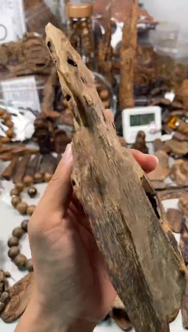 沉香沉香碎屑振****） 沉香  海南