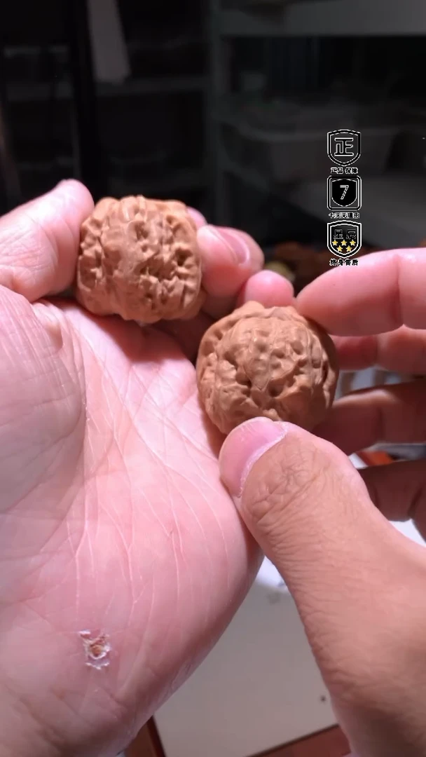 金刚菩提手串037