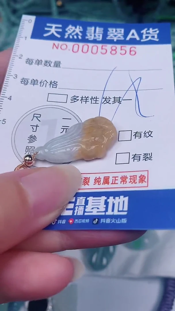 翡翠未镶嵌颈饰00005856