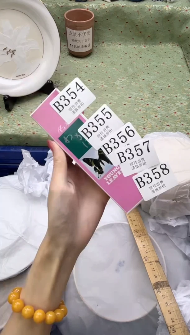 瓷片       B359
