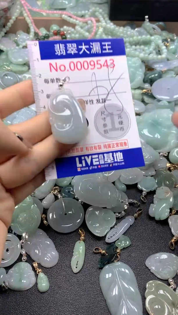 颈饰未镶嵌翡翠9543