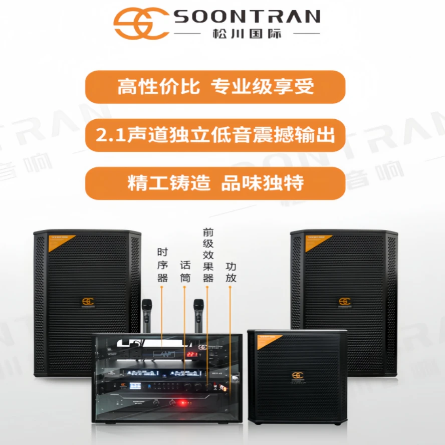 SP-312高端家庭定制柜机效果器专业话筒大功率功放DSP蓝牙音响