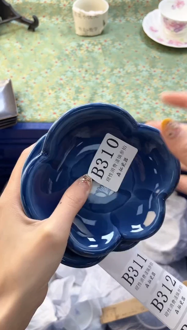 【闪购商品】瓷片          B310