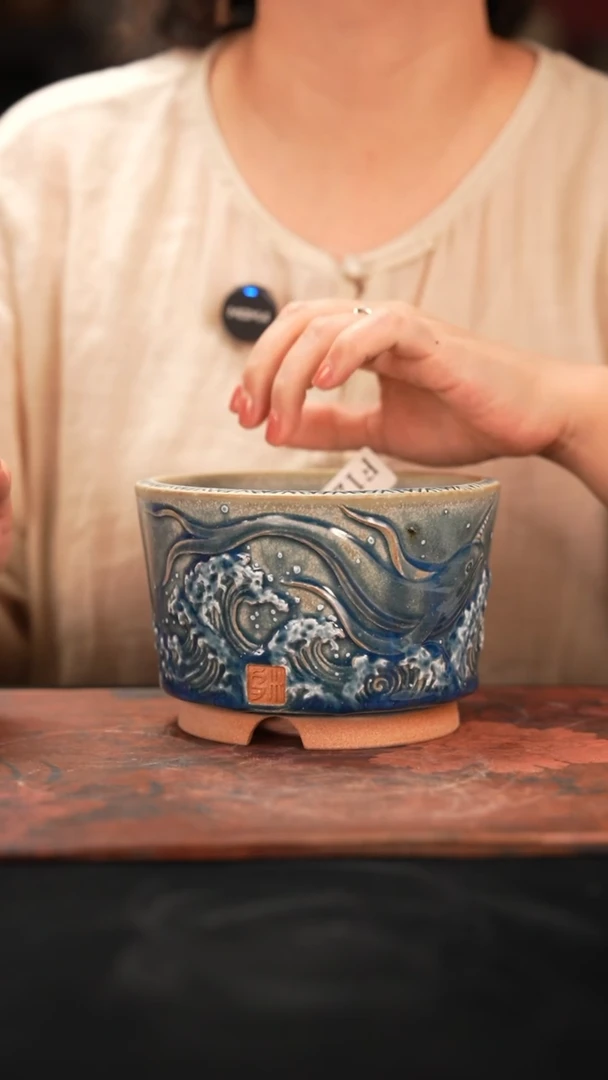 W***e7-12-121花盆口径12