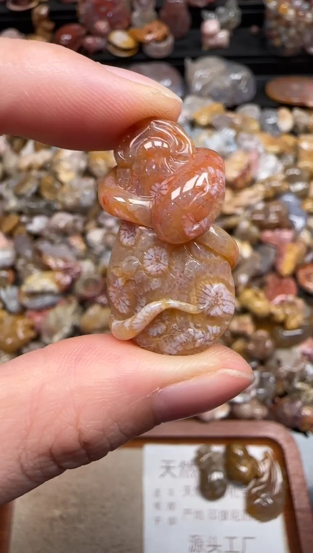 硅化珊瑚（珊瑚玉）未镶嵌颈饰731